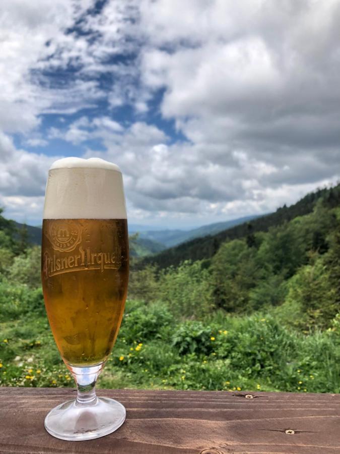 Motorest Ski Certovica Otel Vyšná Boca Dış mekan fotoğraf